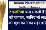 Jhadu